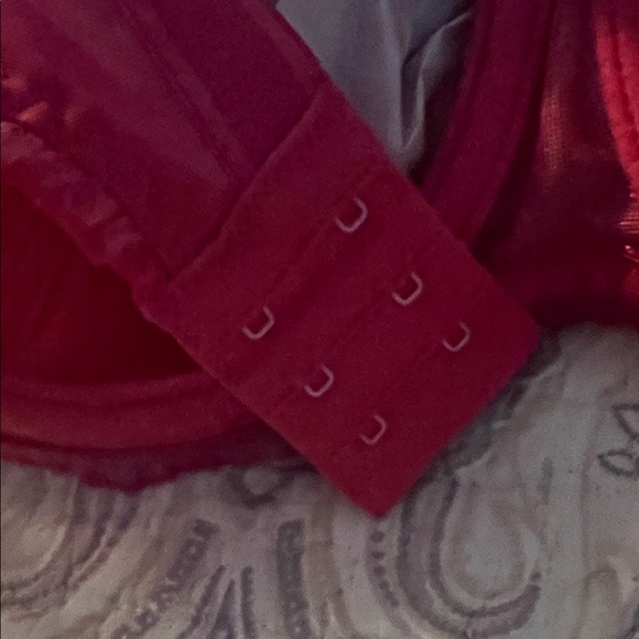 Freya Red and Pink Lace Bra Set - Picture 12 of 16